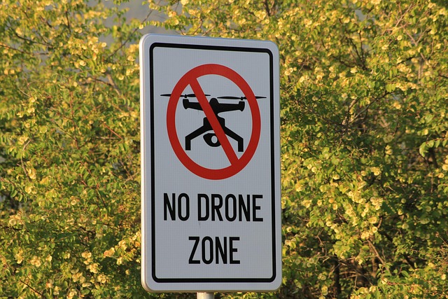 drone related threats security system
