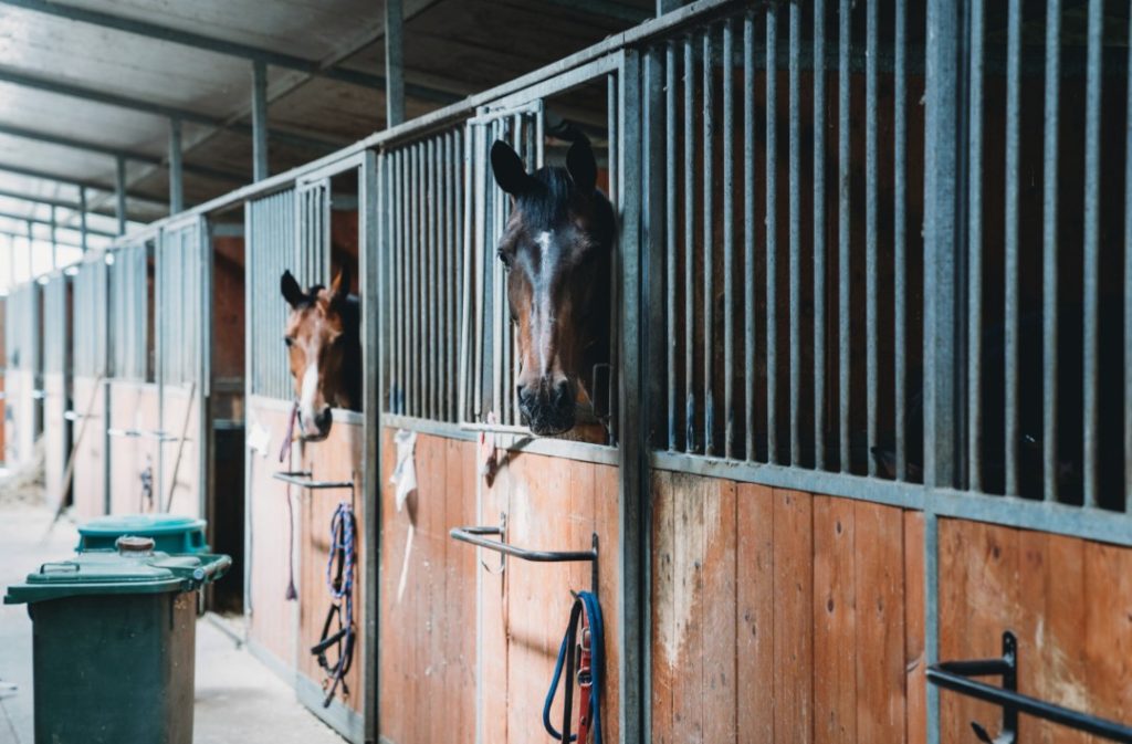 surveillance system equine estate